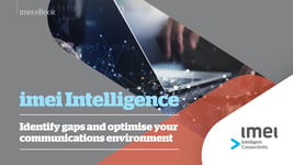 Intelligence eBook cover