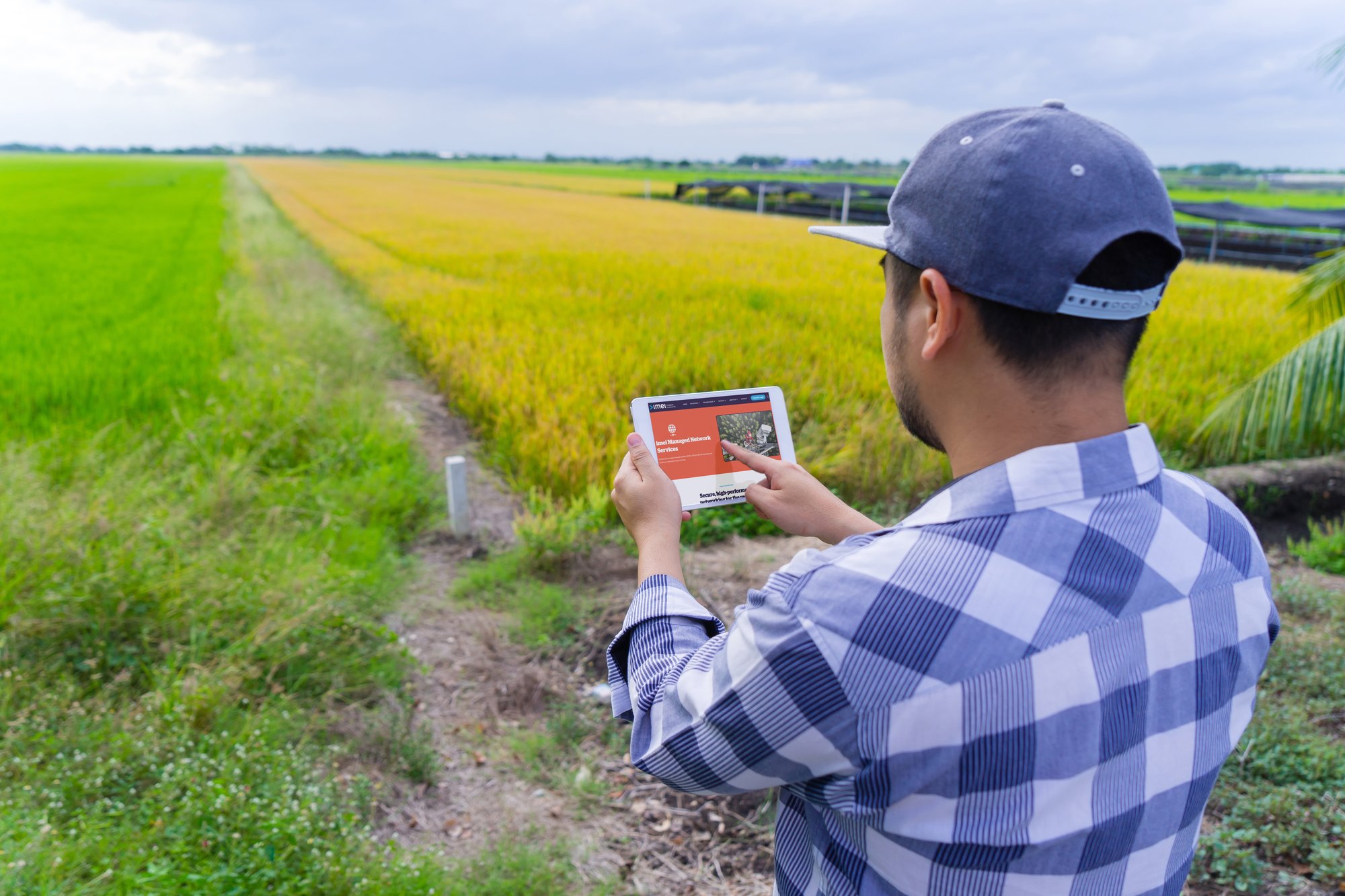 move ipad farmer field_starlink_imei
